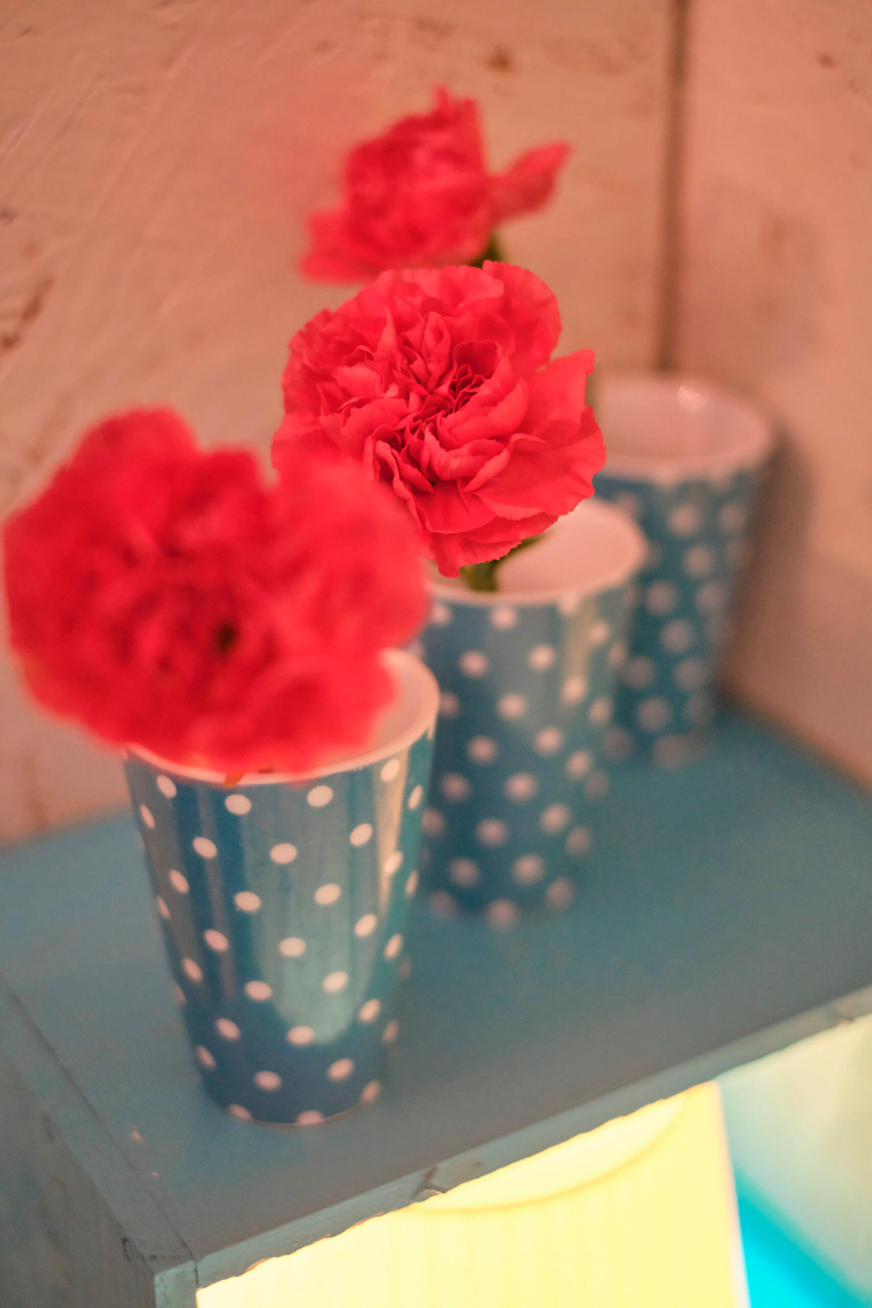 Fleurs rouge-orange dans pots bleus à pois. Petite décoration d'intérieur par Georgette MagritteS.