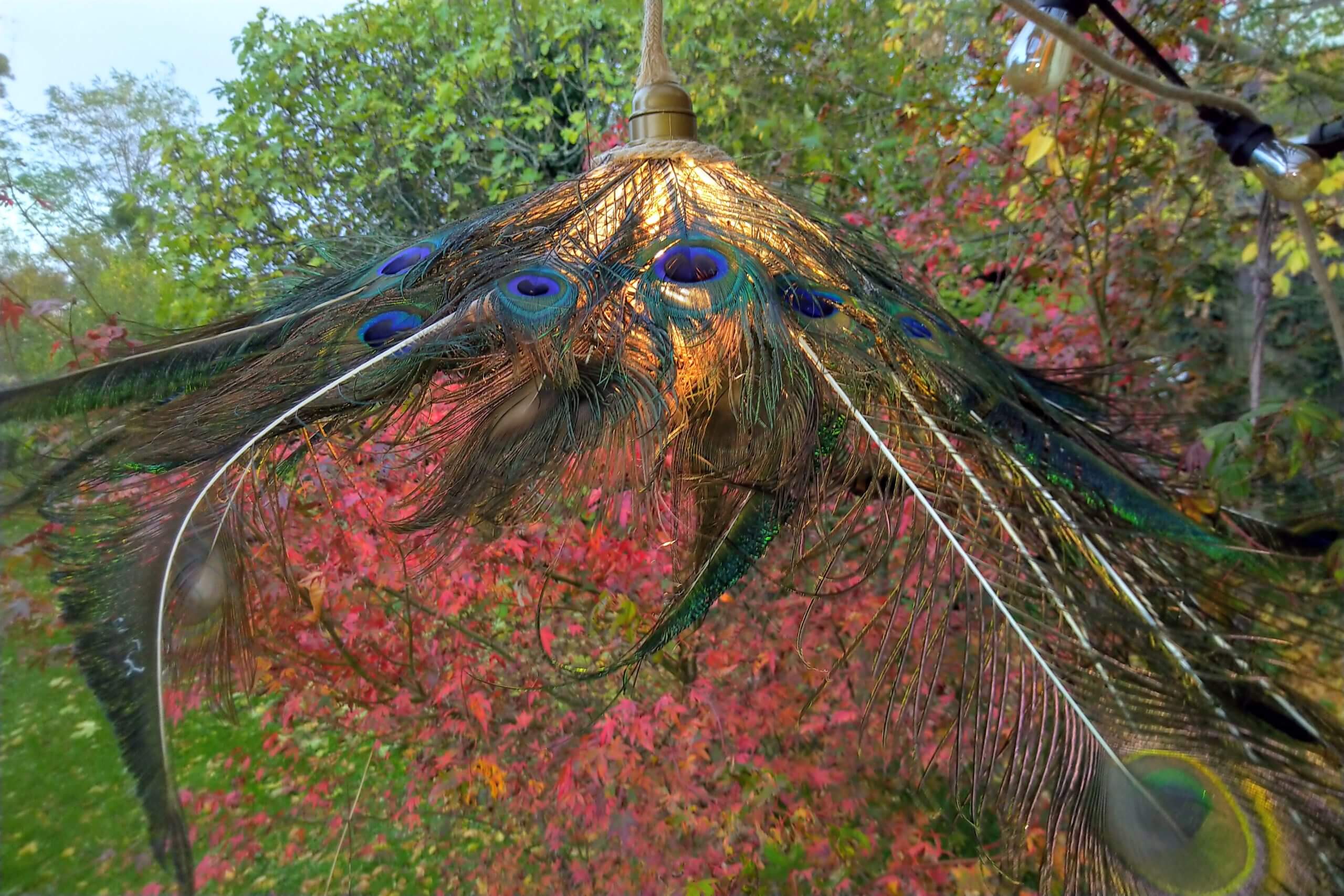 Luminaire DIY en plumes de paon par la décoratrice Georgette MagritteS (Sadirac).